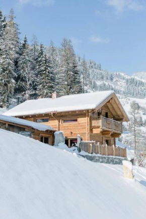 Chalet Wildberg